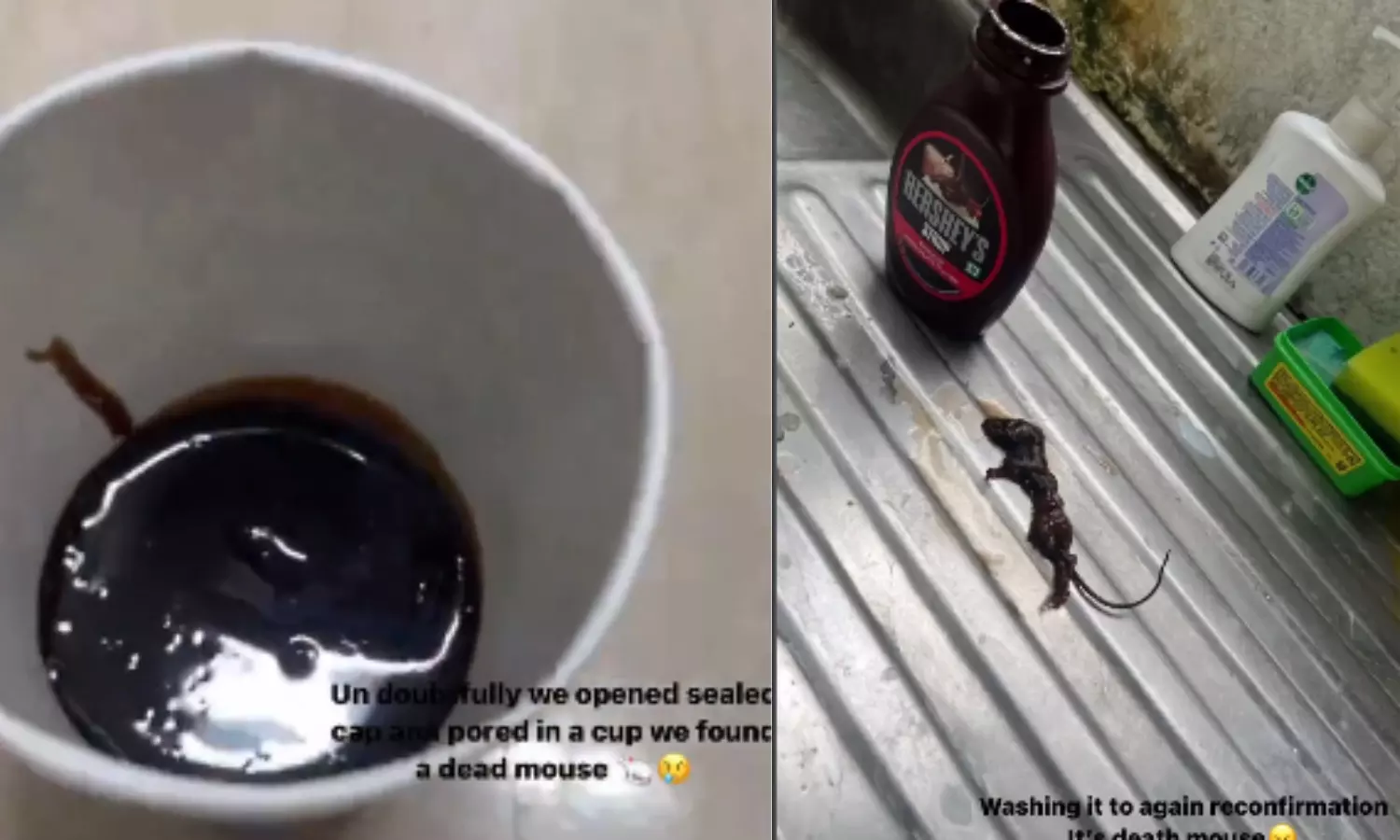 Viral Video : Hersheys Chocolate Syrup से निकला मरा हुआ चूहा, कंपनी ने कहा...
