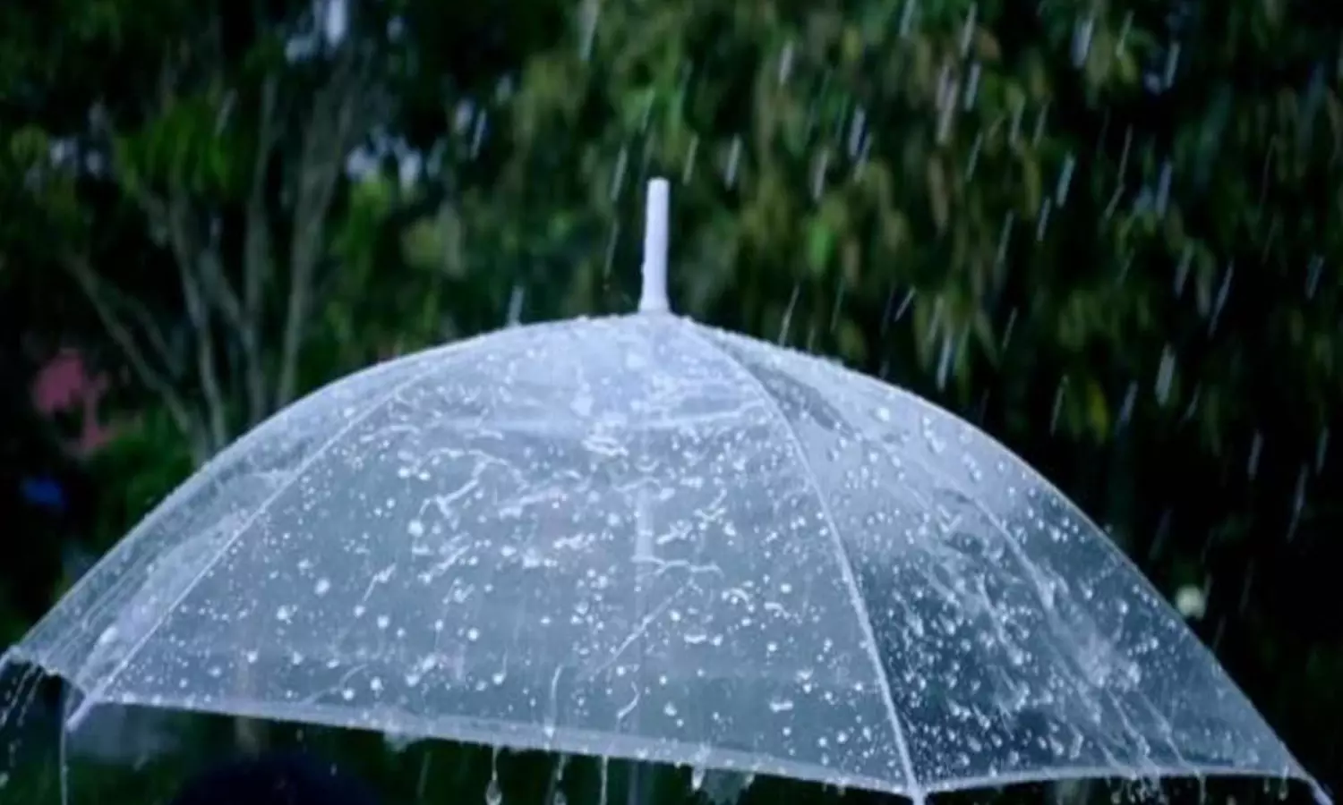 MP Weather update: एमपी में मानसून की दस्तक, ग्वालियर, भोपाल में तेज बारिश का अलर्ट, जानिए अपने इलाके का हाल
