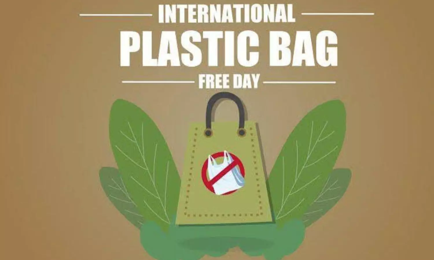 हर साल 3 जुलाई को मनाते हैं International Plastic Bag Free Day,इस कारण से हुई थी इसे मनाने की शुरुआत
